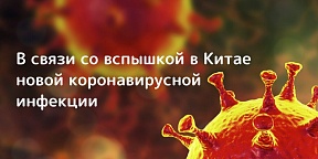 О ситуации и принимаемых мерах по недопущению распространения заболеваний, вызванных новым коронавирусом