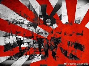 布鲁塞尔会议召开85周年